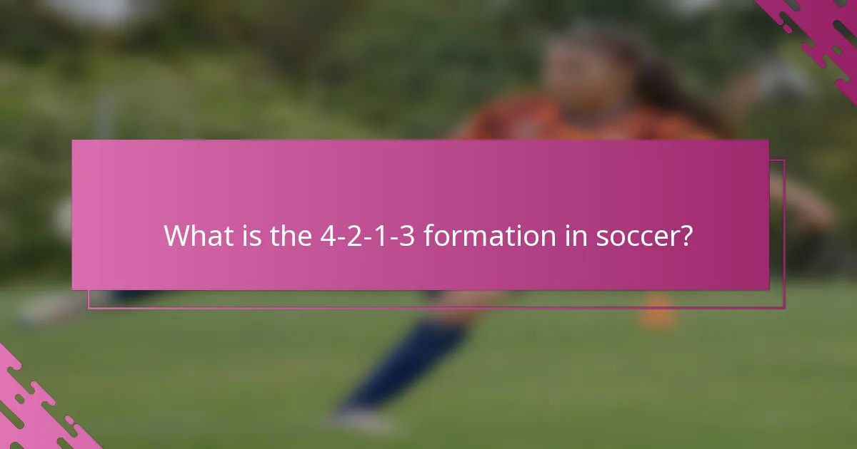 What is the 4-2-1-3 formation in soccer?