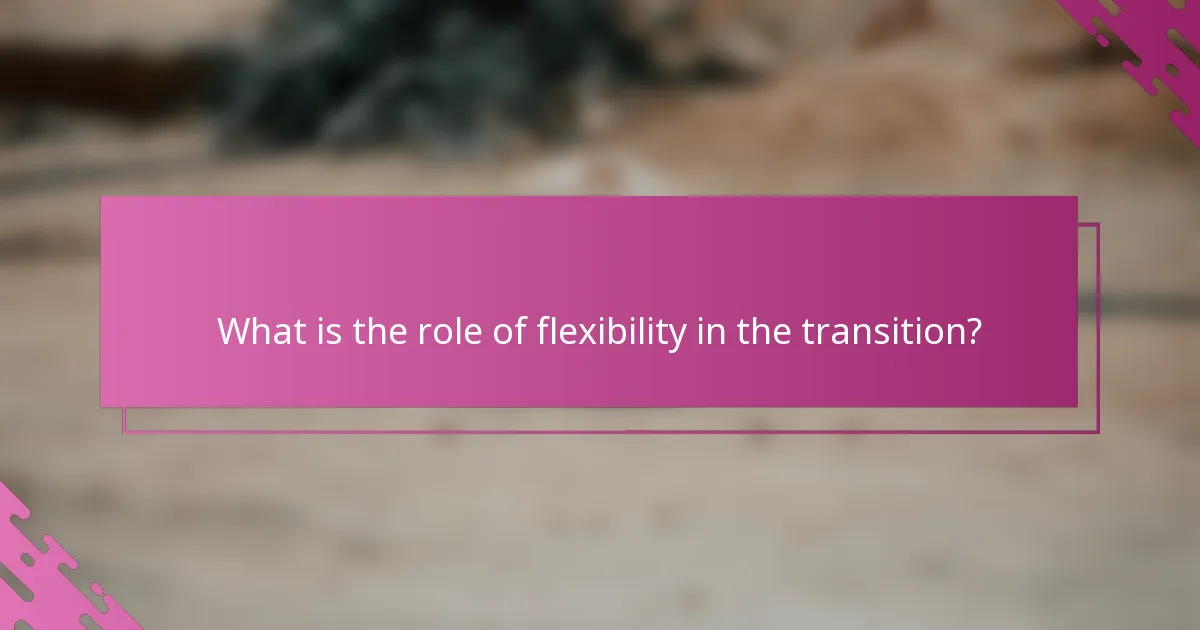What is the role of flexibility in the transition?