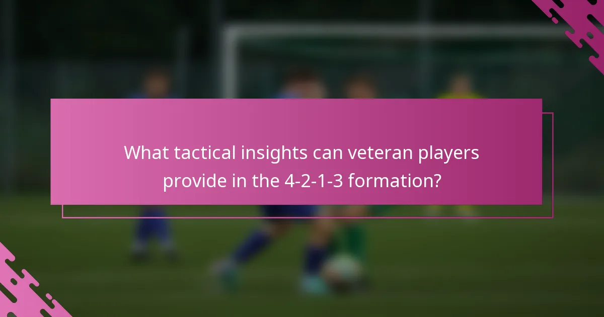 What tactical insights can veteran players provide in the 4-2-1-3 formation?